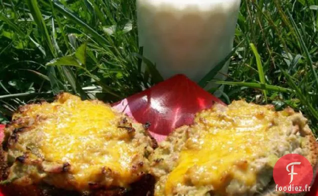 Fond de Thon et d'Artichaut