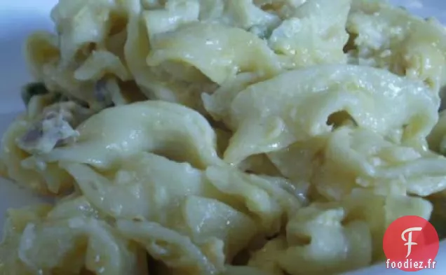 Meilleure Casserole de Nouilles au Thon