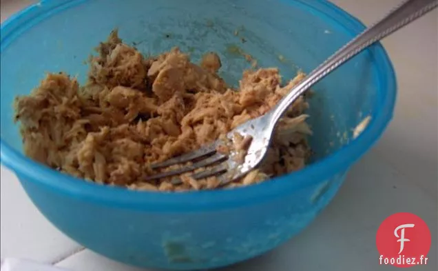 Rouleaux / Wraps de Thon Épicés