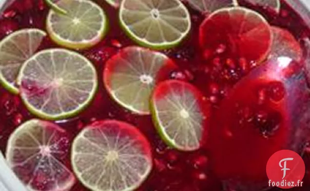 Sauce aux Canneberges et à la Grenade des Fêtes