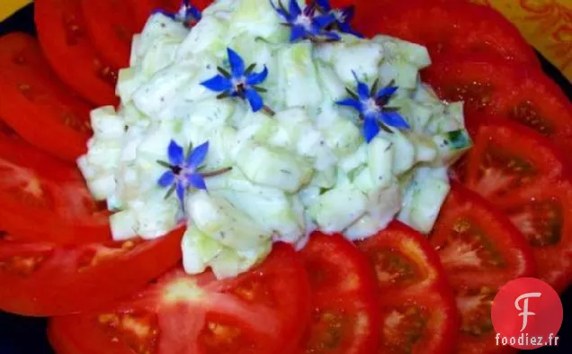 Salade Rouge Blanche et Bleue