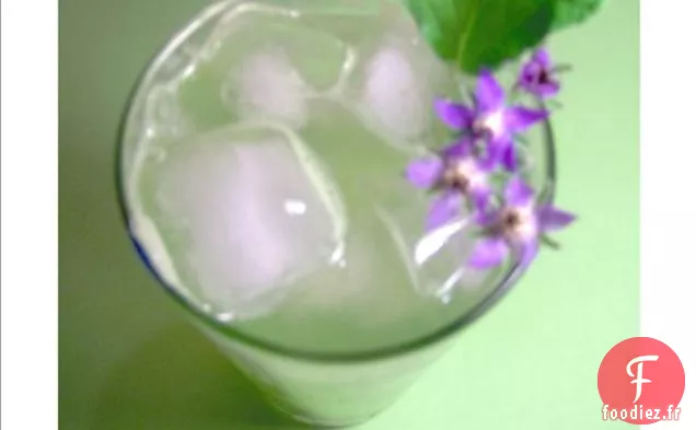 Gelée De Concombre De Bourrache Au Gingembre