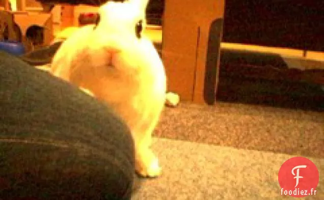 Oeufs Durs Marinés Hollandais De Pennsylvanie Et Betteraves Rouges