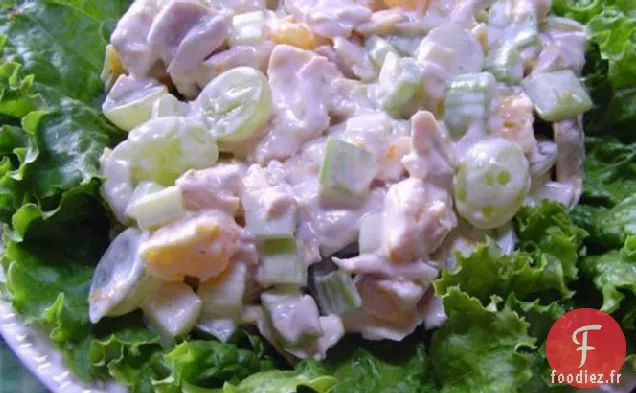 Salade de Poulet aux Fruits Oranges