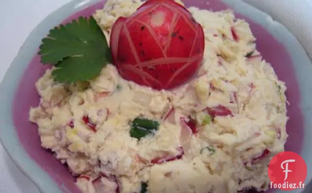 Pâte à Tartiner au Radis Rouge