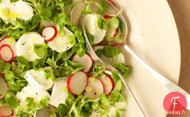 Salade printanière à la Mozzarella fraîche