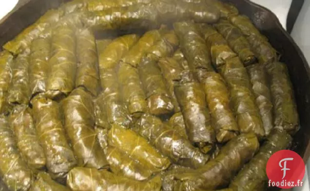 Dolmades - Feuilles de Vigne Farcies