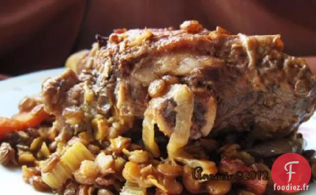 Jarrets D'Agneau Cuits Lentement Avec Ragoût De Lentilles