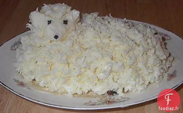 Curry de Jarret d'Agneau