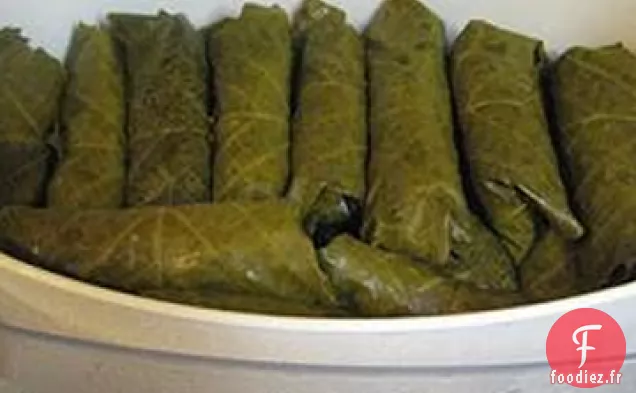Feuilles de Vigne Farcies (Dolmades)