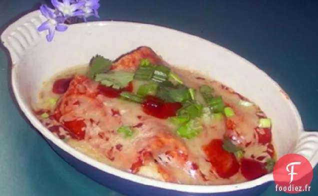 Enchiladas au Poulet Épicé