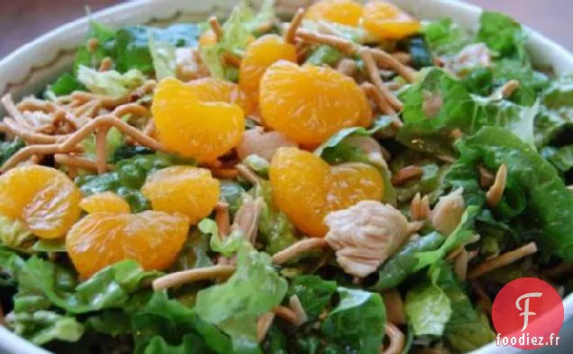 Délicieuse Salade De Poulet Asiatique Aux Nouilles Chow Mein