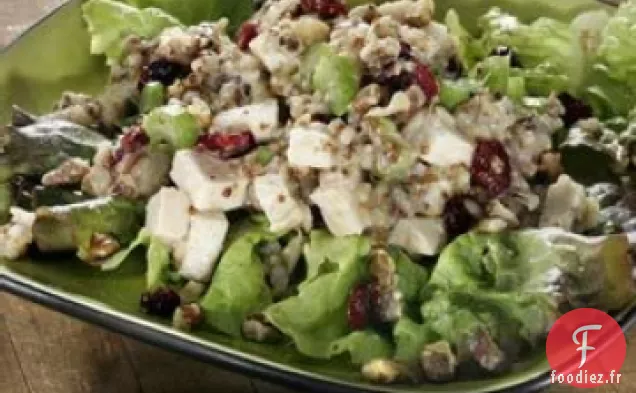 Salade de Dinde, Riz Sauvage et Canneberges