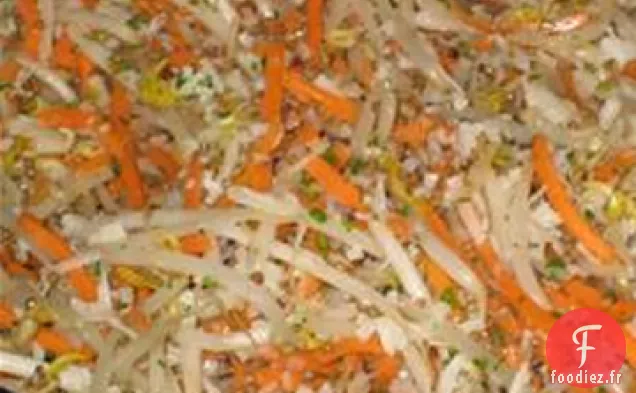 Salade de Germes de Carottes et de Fèves