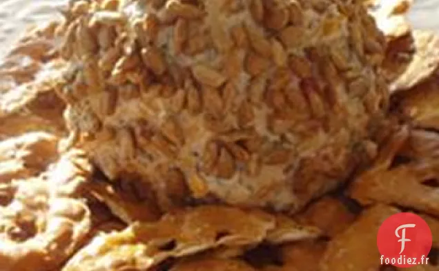 Boule de Fromage au Tournesol