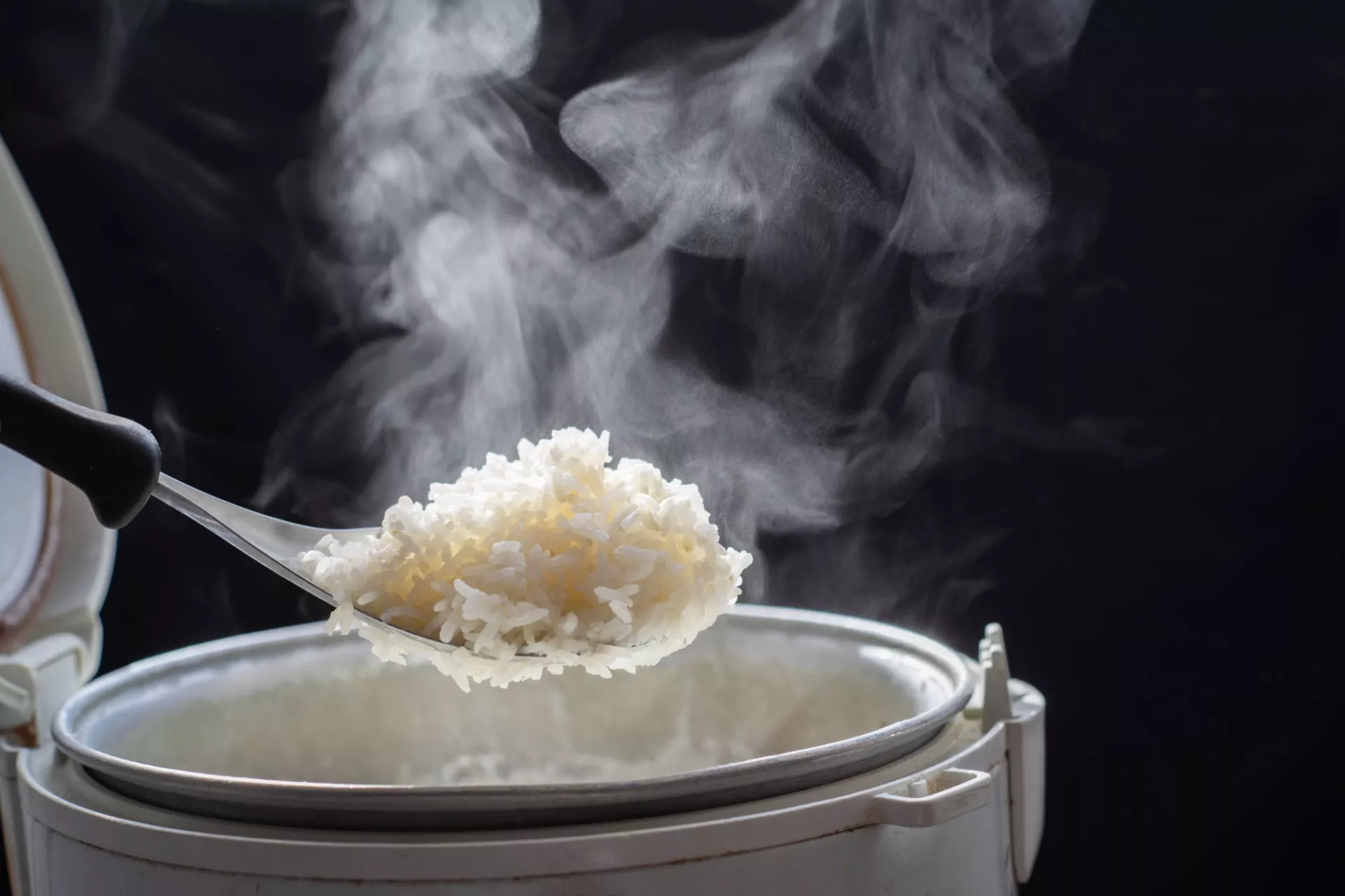Comment faire cuire du riz