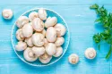 Nos 7 meilleures recettes de champignons